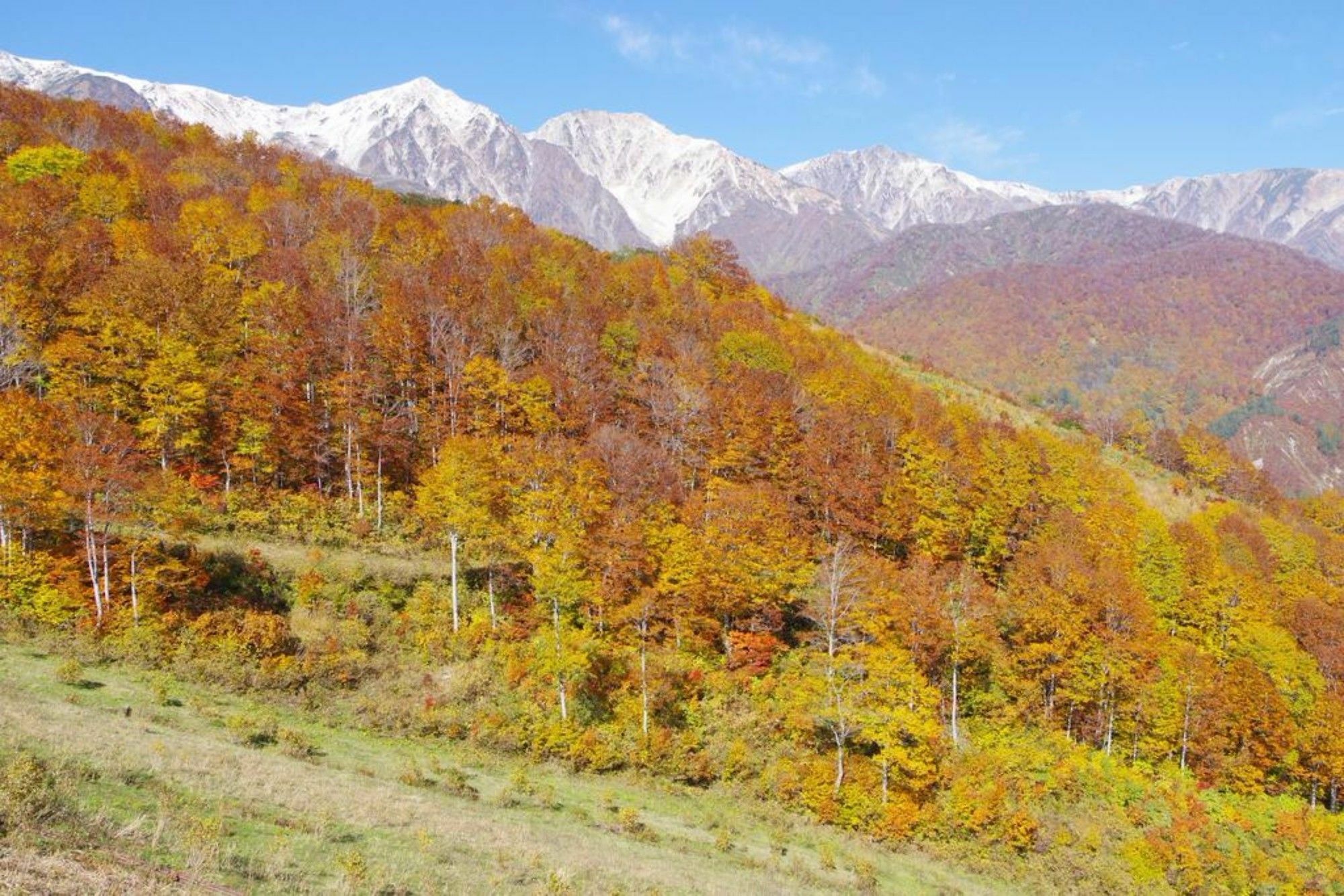Hakuba Ski-Kan Esterno foto